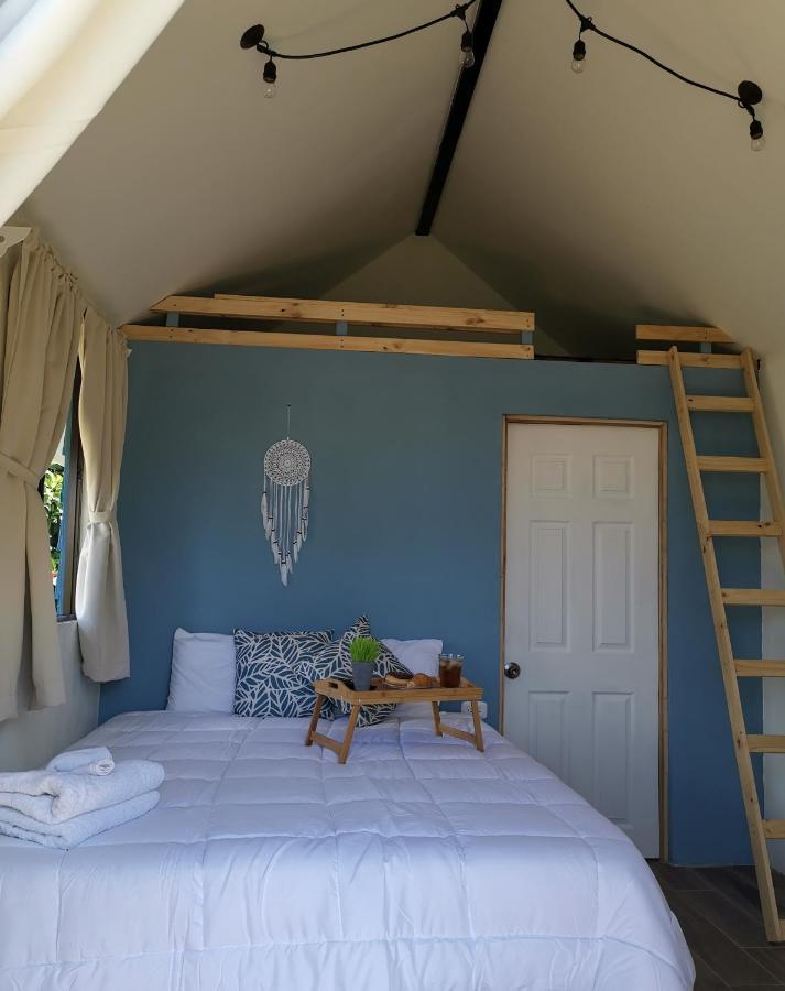 Tiny House Dreamcatcher Sarchí 외부 사진